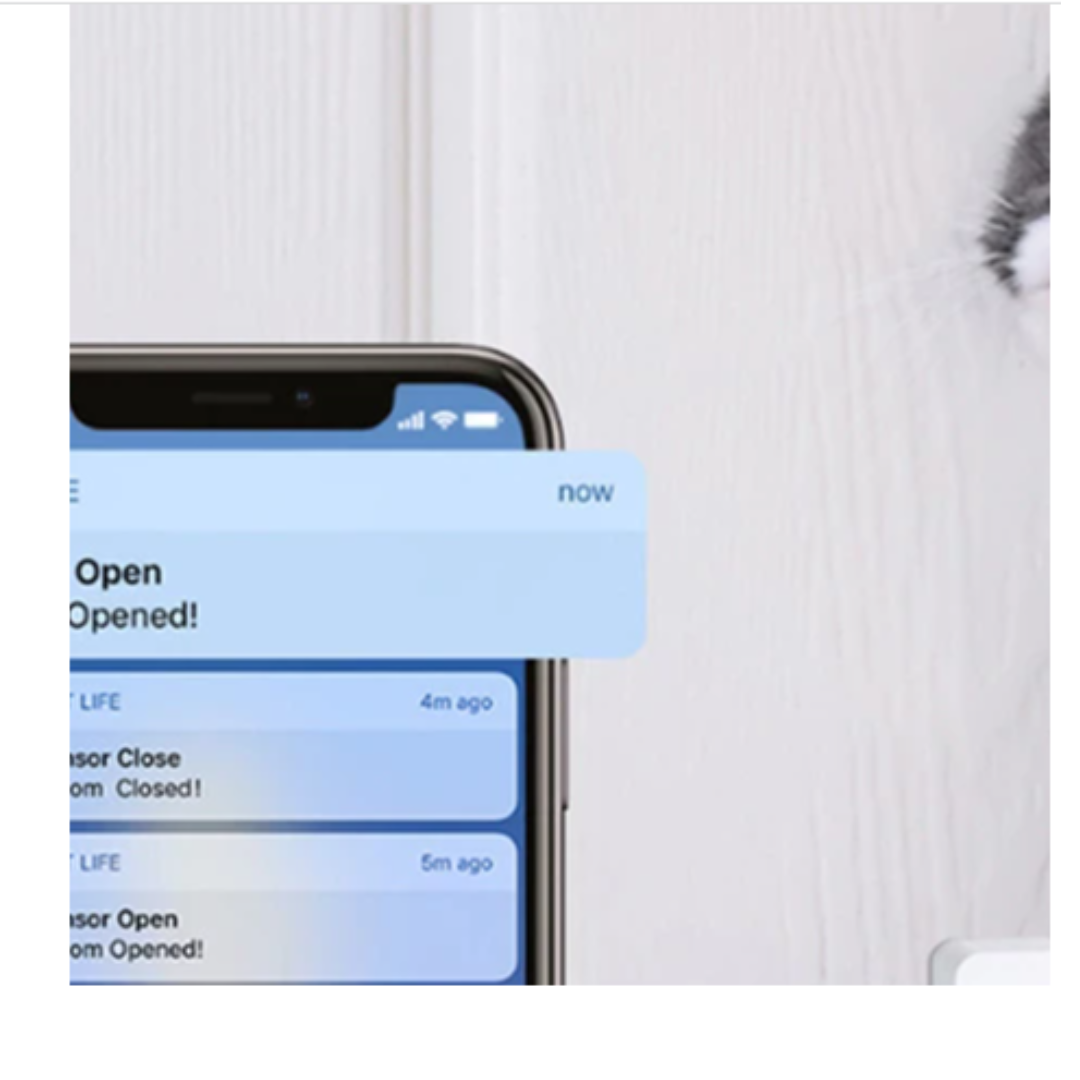 Sensor de puertas Smart