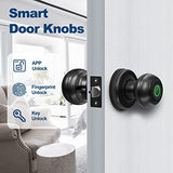 Cerradura de puerta de huellas dactilares, cerradura inteligente biométrica, perilla de puerta con control de aplicación