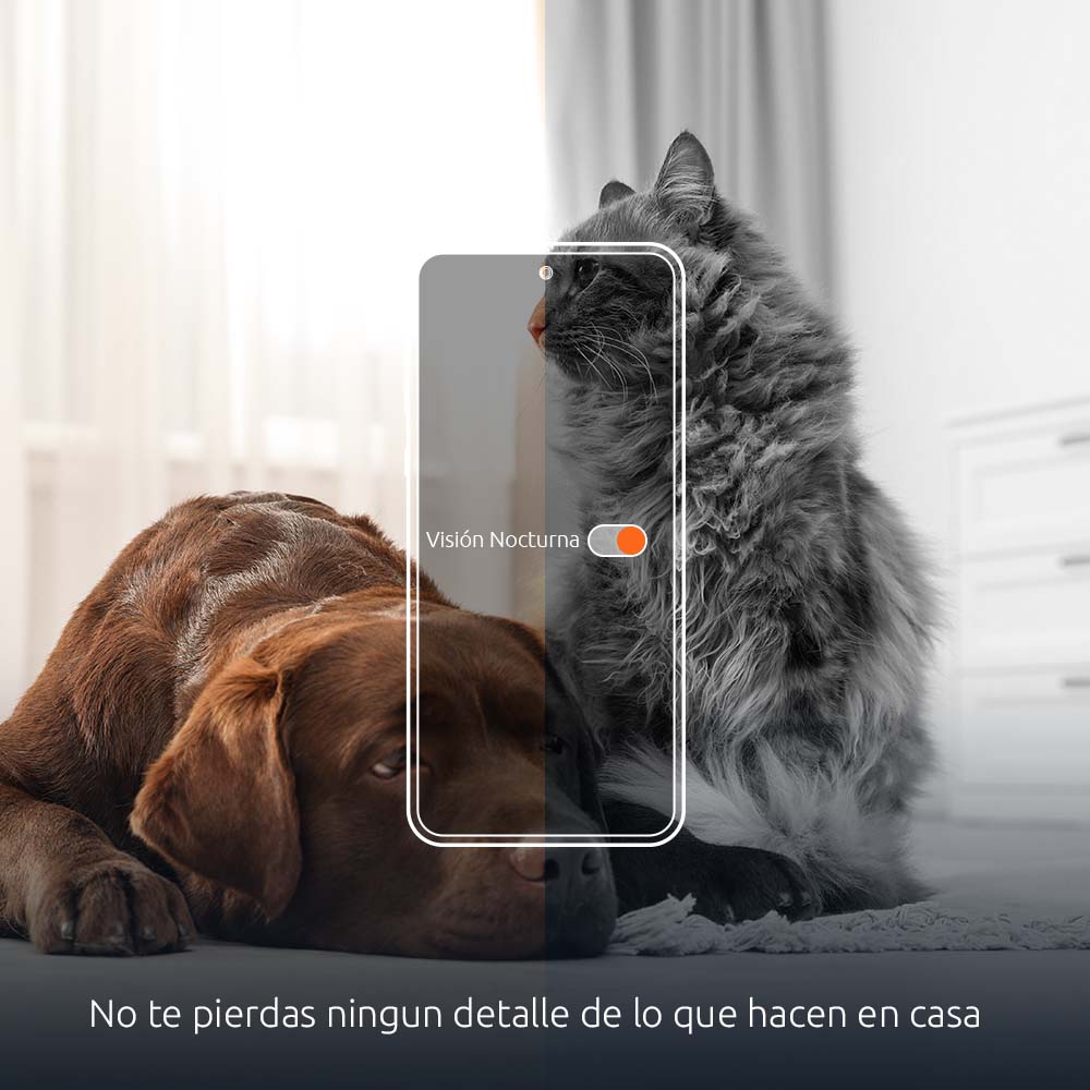 Dispensador Inteligente de Alimento para Mascotas con Wi-Fi® y Cámara 2K – Nexxt Solutions (NHA-P610)