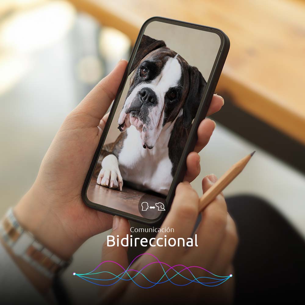 Dispensador Inteligente de Alimento para Mascotas con Wi-Fi® y Cámara 2K – Nexxt Solutions (NHA-P610)