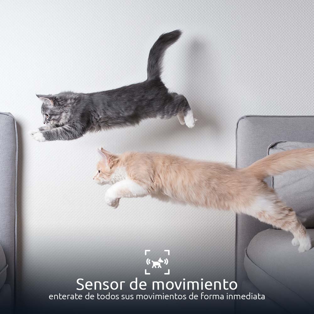 Dispensador Inteligente de Alimento para Mascotas con Wi-Fi® y Cámara 2K – Nexxt Solutions (NHA-P610)