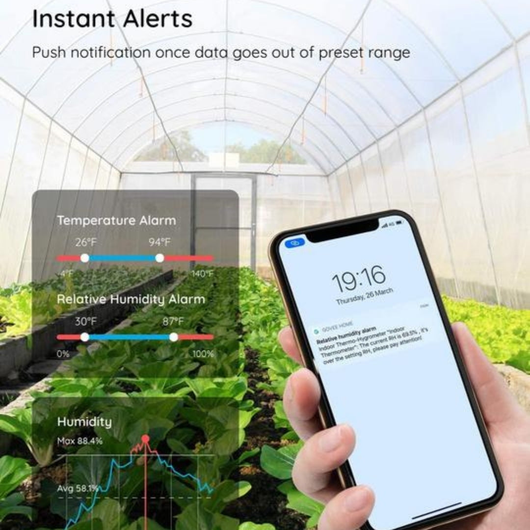 Termómetro Higrómetro Govee